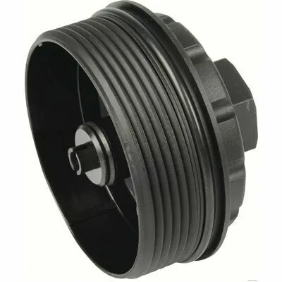 Ultimissimo Modello HERTH+BUSS JAKOPARTS J1395000 Calotta, Carter Filtro Olio