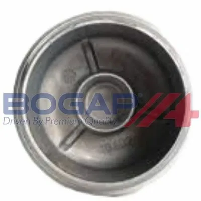 BOGAP Premium B1422117 Calotta, Carter Filtro Olio Acquista Ora
