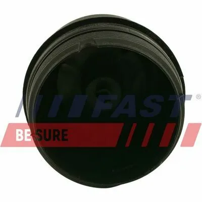 Esclusivo FAST FT94747 Calotta, Carter Filtro Olio