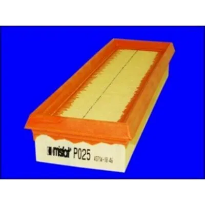MISFAT P025 Filtro Aria Occasione