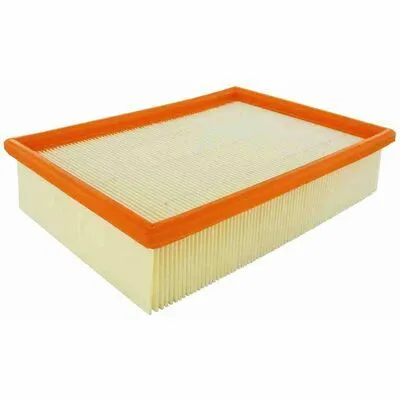 Qualità de VAICO originale V25-0052 Filtro Aria Promo Stagionale