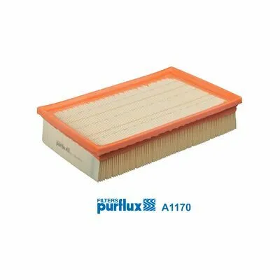 PURFLUX A1170 Filtro Aria Ultime Pezzi