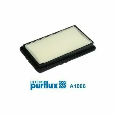 PURFLUX A1006 Filtro Aria Spedito Oggi