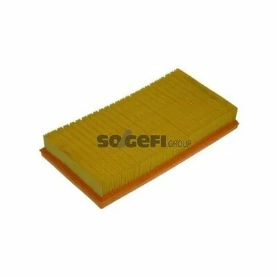 Offerta Limitata PURFLUX A1152 Filtro Aria