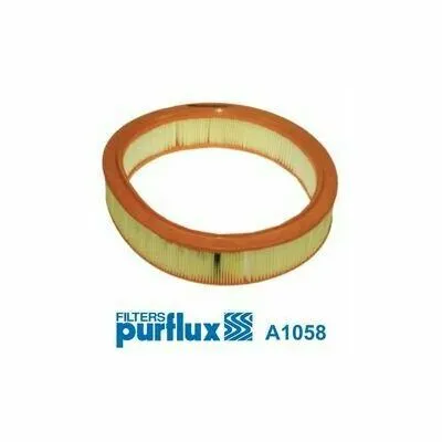 Economico PURFLUX A1058 Filtro Aria