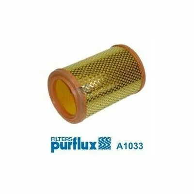 Affare PURFLUX A1033 Filtro Aria