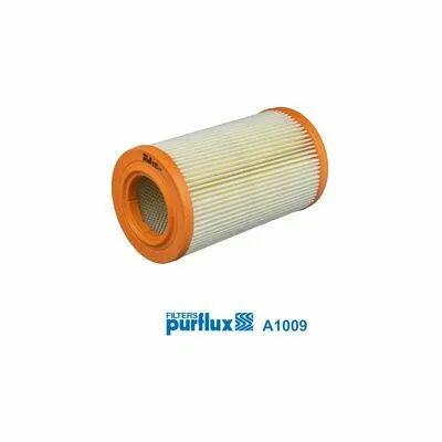 PURFLUX A1009 Filtro Aria Offerta Speciale