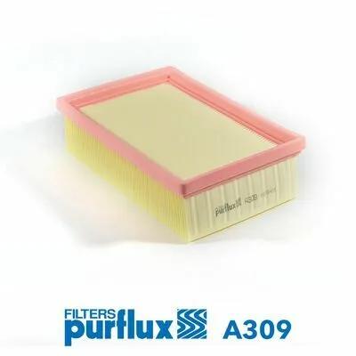 PURFLUX A309 Filtro Aria Acquista Ora