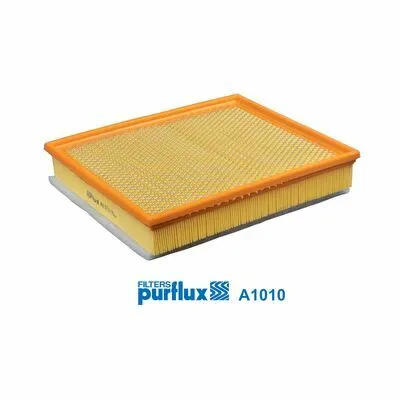 Affare PURFLUX A1010 Filtro Aria