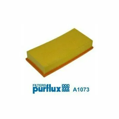 Promo Stagionale PURFLUX A1073 Filtro Aria