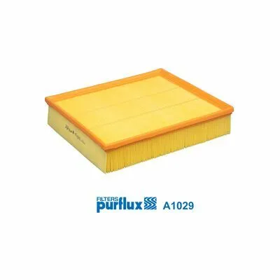 PURFLUX A1029 Filtro Aria Pagamento Sicuro