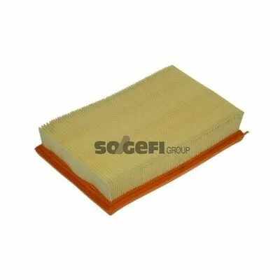 PURFLUX A1109 Filtro Aria Popolare