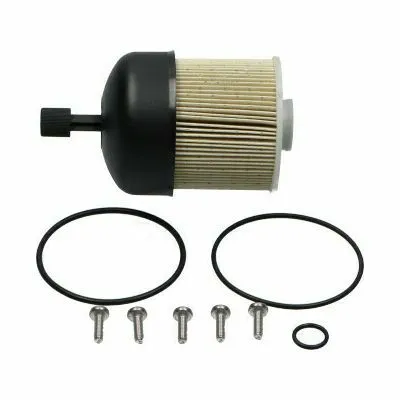Consegna Rapida KAVO PARTS NF-2480 Filtro Carburante