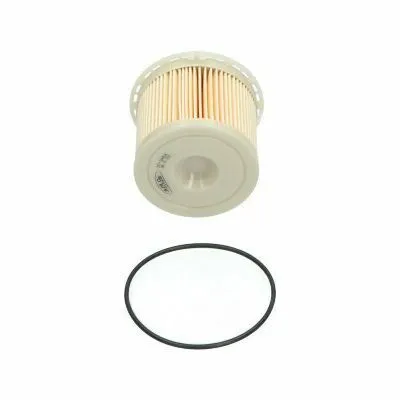 Spedito Oggi KAVO PARTS IF-3454 Filtro Carburante