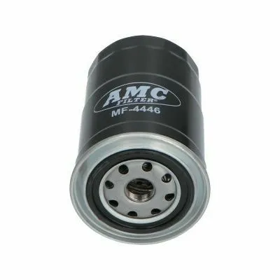 Offerta Del Giorno KAVO PARTS MF-4446 Filtro Carburante