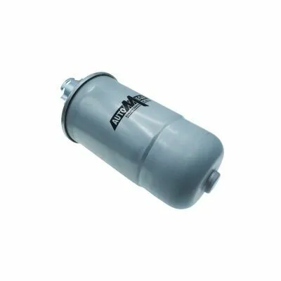 AUTOMEGA 210077110 Filtro Carburante Economico