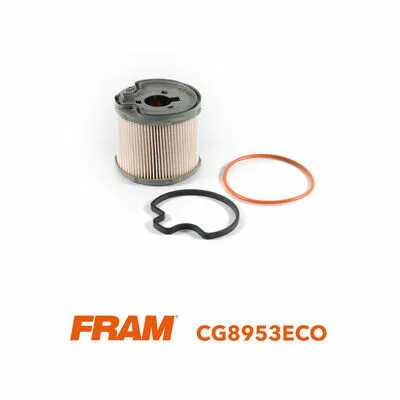 Solo Oggi FRAM CG8953ECO Filtro Carburante