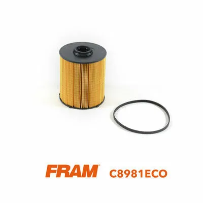 Prezzo Conveniente FRAM C8981ECO Filtro Carburante
