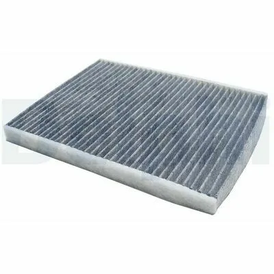 Bestseller DELPHI TSP0325310C Filtro, Aria Abitacolo