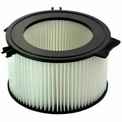 Consegna Rapida DENCKERMANN M110009 Filtro, Aria Abitacolo