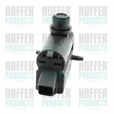 Economico WILMINK GROUP WG2196264 Pompa Acqua Lavaggio, Pulizia Cristalli