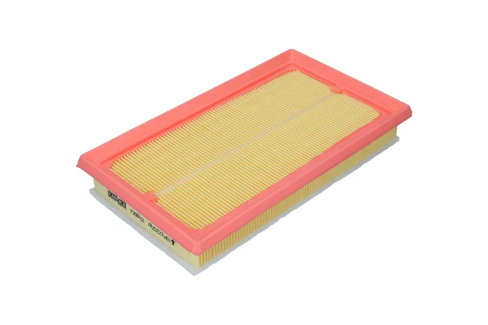 KAMOKA F256401 - Filtro aria ATP Autoricambi Più Venduto