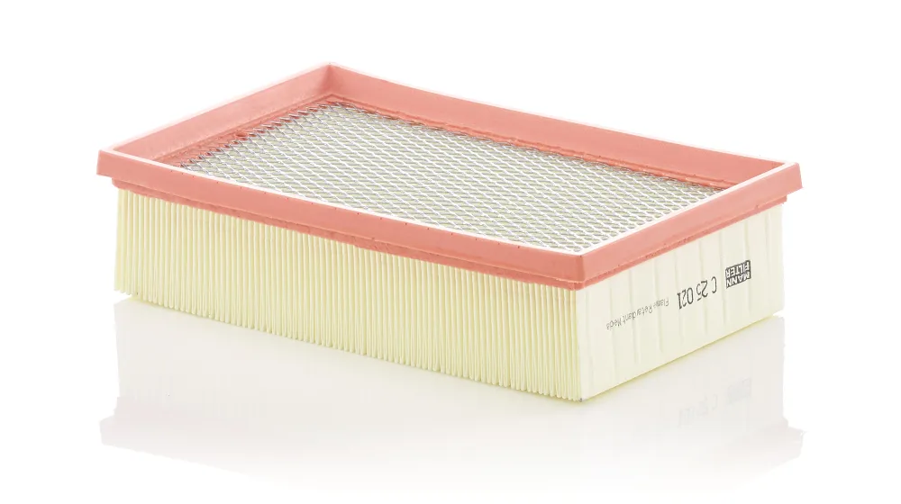 MANN-FILTER C 25 021 - Filtro aria ATP Autoricambi Must-Have