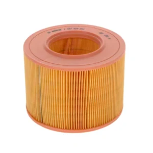 BOSCH 1 457 429 841 - Filtro aria ATP Autoricambi Offerta Speciale