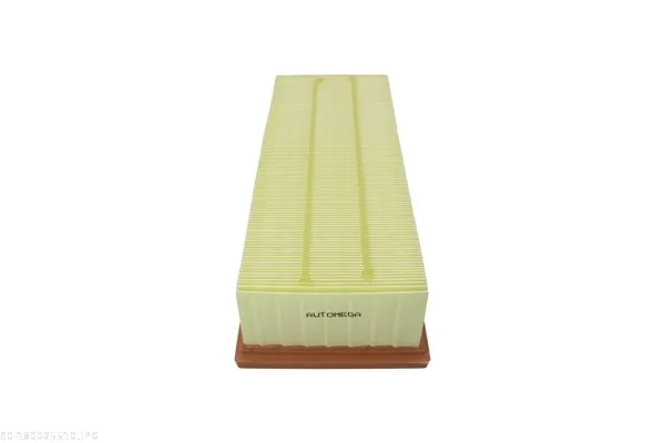 AUTOMEGA 180025510 - Filtro aria ATP Autoricambi Subito Disponibile