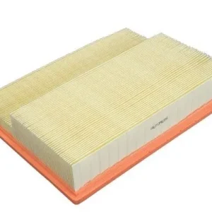 Scelto Dai Clienti AUTOMEGA 180073010 - Filtro aria ATP Autoricambi