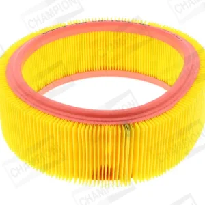 Offerta Limitata CHAMPION CAF100716R - Filtro aria ATP Autoricambi
