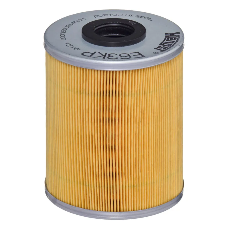 Soddisfatti O Rimborsati HENGST FILTER E63KP D78 - Filtro carburante ATP Autoricambi
