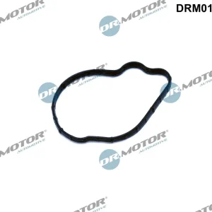Prezzo Basso DR.MOTOR AUTOMOTIVE DRM01953 - Guarnizione, pompa iniezione ATP Autoricambi