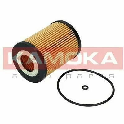 Economico KAMOKA F111301 Filtro Olio