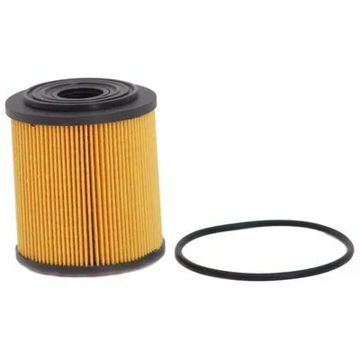 Ordina Subito MAPCO 64604 Filtro Olio