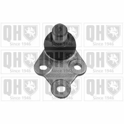 QUINTON HAZELL QSJ2095S Giunto di Supporto / Guida Must-Have