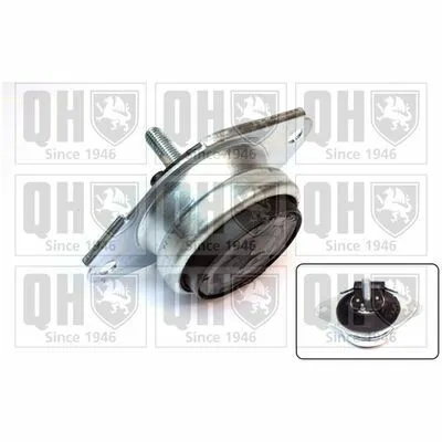 Occasione Imperdibile QUINTON HAZELL EM4163 Sospensione, Motore