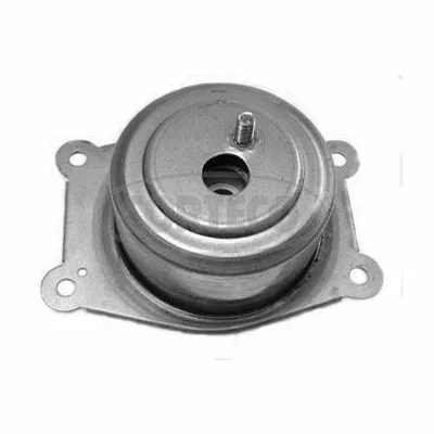 Ultime Pezzi CORTECO 80000579 Supporto, Cambio