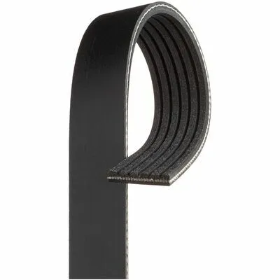 GATES Micro-V® 6PK815 Cinghia Poly-V Promozione