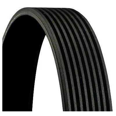Acquista Ora CONTITECH 8PK1960 Cinghia Poly-V