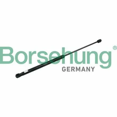 Offerta Limitata BORSEHUNG B14203 Ammortizatore Pneumatico, Cofano Bagagli /Vano Carico