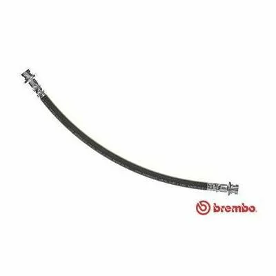 BREMBO ESSENTIAL LINE T 56 141 Flessibile del Freno Di Tendenza