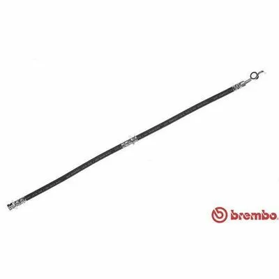 BREMBO ESSENTIAL LINE T 49 049 Flessibile del Freno Nuova Collezione