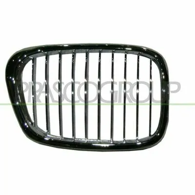 Quantità Limitata PRASCO BM0452033 Griglia Radiatore