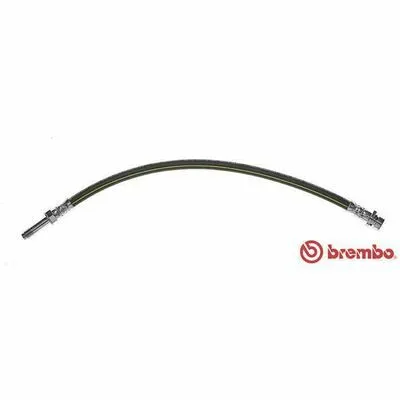 BREMBO ESSENTIAL LINE T 50 032 Flessibile del Freno Direttamente Dal Produttore