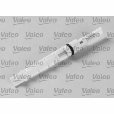 Direttamente Dal Produttore VALEO 508970 Iniettore, Valvola ad Espansione