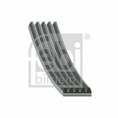 Ultime Pezzi FEBI BILSTEIN 28870 Cinghia Poly-V