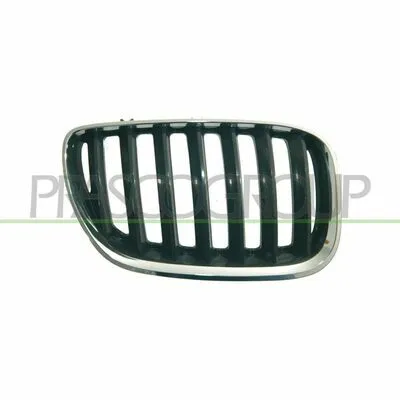 PRASCO BM8202023 Griglia Radiatore Scelto Dai Clienti