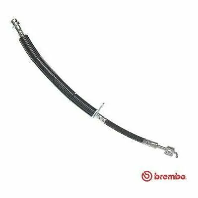 BREMBO ESSENTIAL LINE T 24 142 Flessibile del Freno Ordina Subito