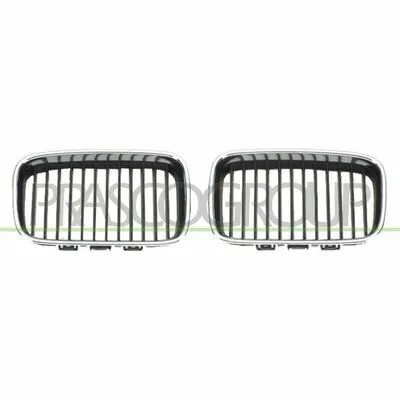 Compra Online PRASCO BM0142114 Griglia Radiatore